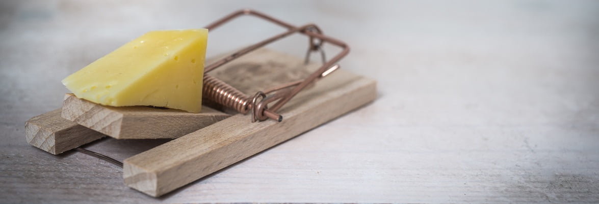 Mäusefalle mit Käse